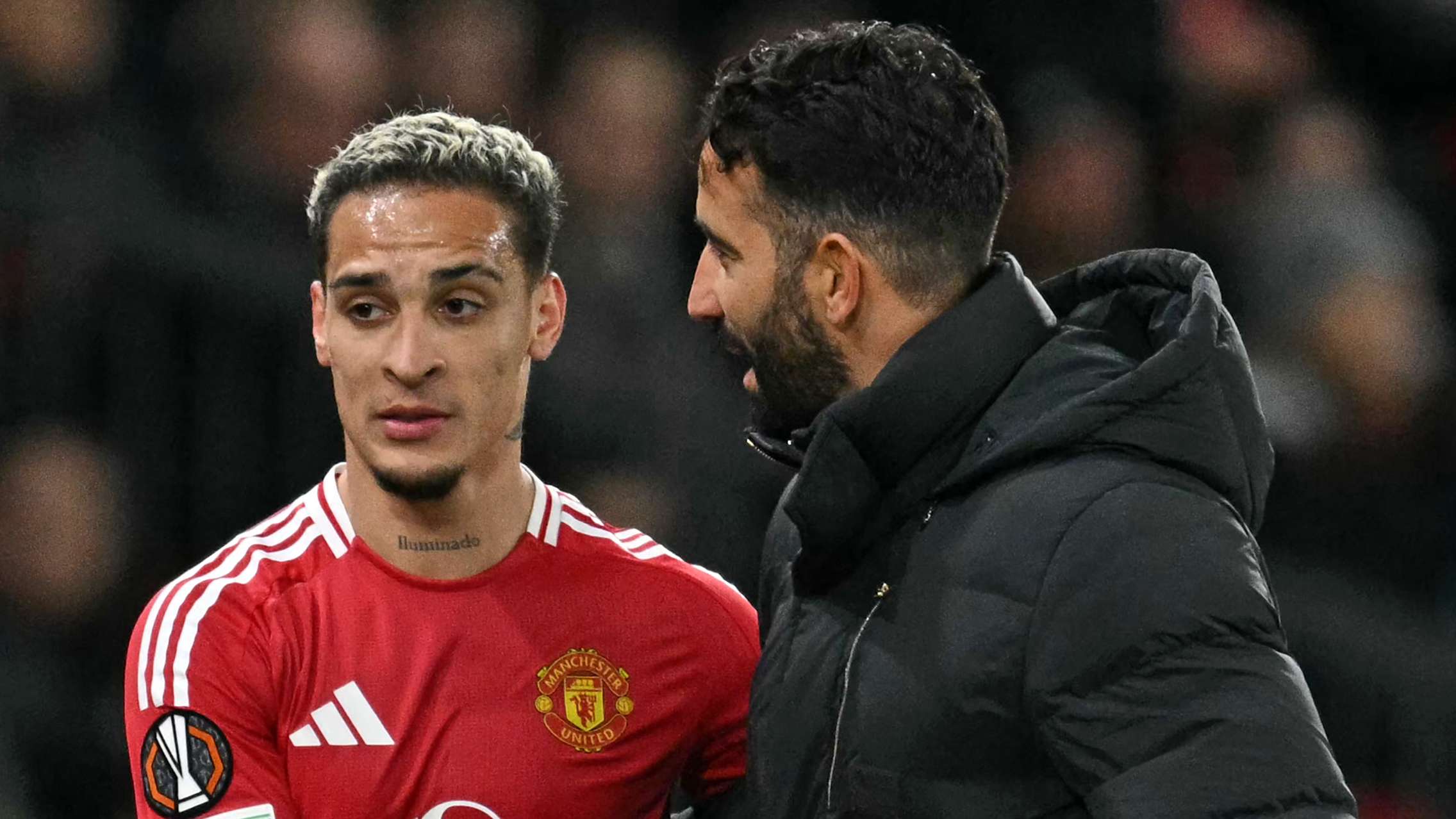 母和邻居的 母和邻居的